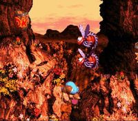 Donkey Kong Country 3 sur Nintendo Super Nes